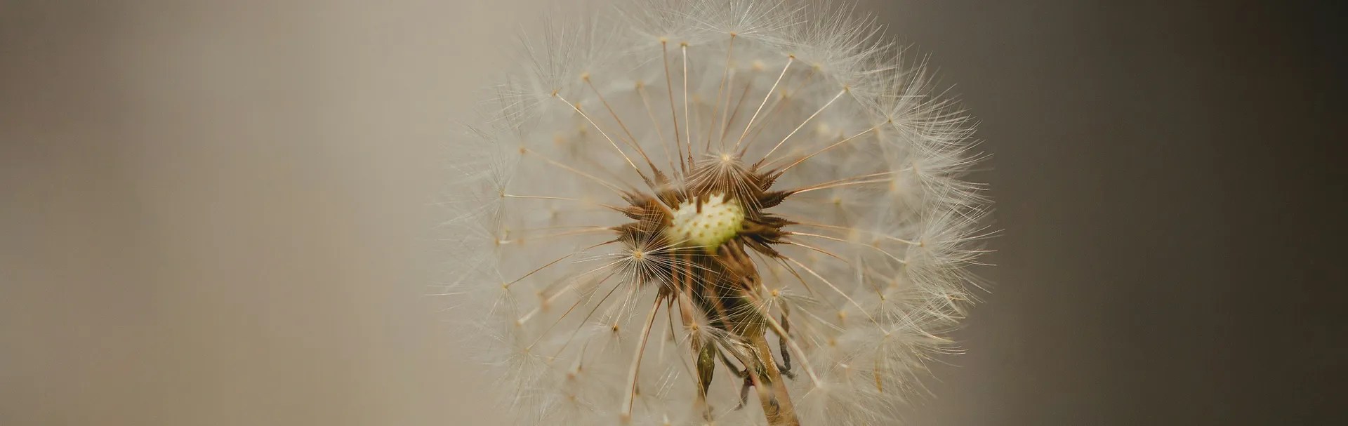 Clinical supervision